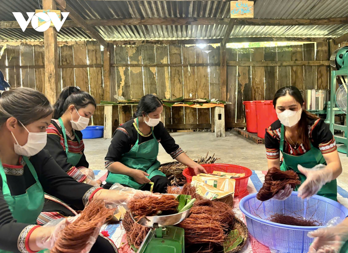 dấu ấn từ thay nếp nghĩ, đổi cách làm ở vùng dân tộc thiểu số kon tum hình ảnh 3 dau an tu thay nep nghi, doi cach lam o vung dan toc thieu so kon tum hinh anh 3