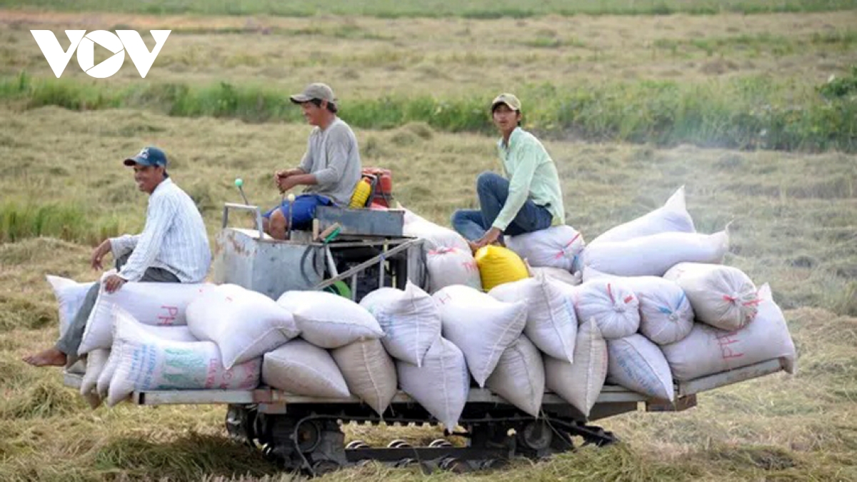 Vị thế người nông dân trong kỷ nguyên vươn mình