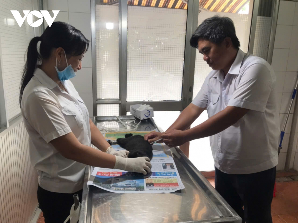 4 người tại bến tre tử vong do bệnh dại lây truyền từ động vật hình ảnh 2 4 nguoi tai ben tre tu vong do benh dai lay truyen tu dong vat hinh anh 2