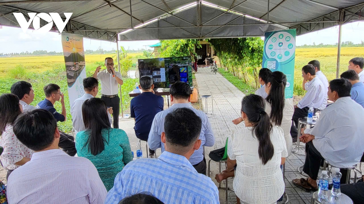 canh tac lua thong minh uot- kho xen ke cho thu nhap cao trong vu thu Dong hinh anh 4