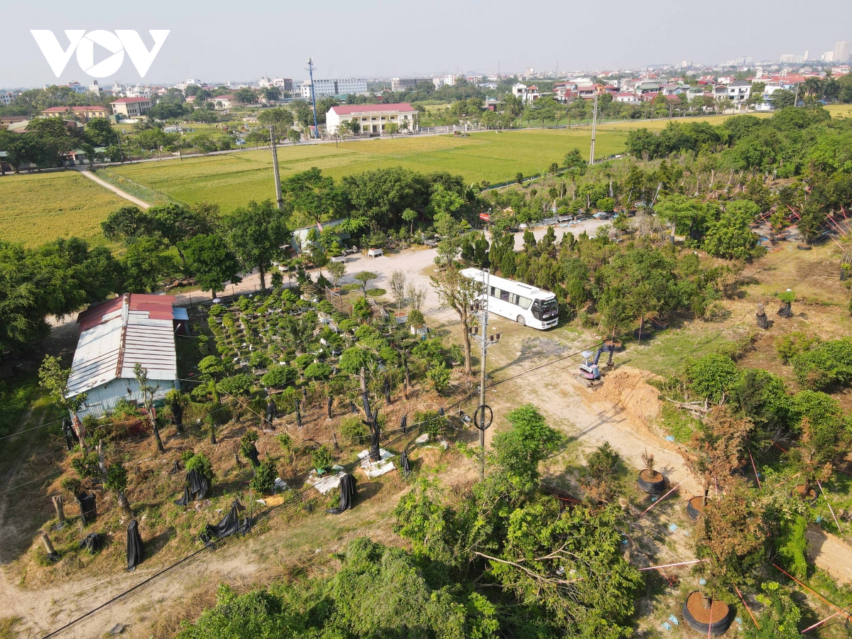 Cận cảnh Trường Đại học quốc tế Bắc Hà sau nhiều năm vẫn là bãi đất hoang