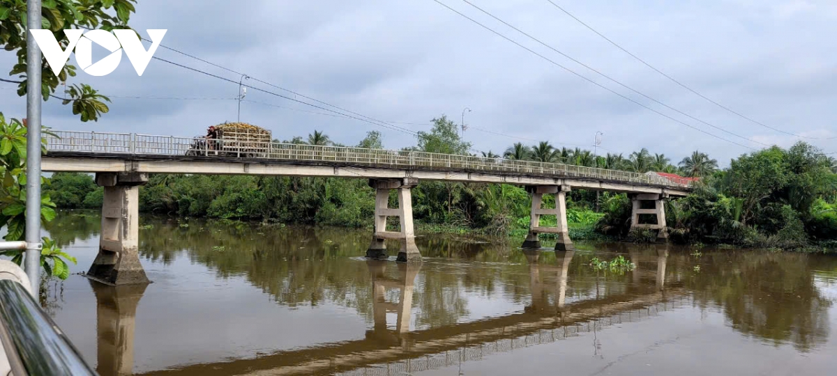 Tiền Giang: Cầu Bàn Long nhỏ hẹp, nhà vườn bán trái cây khó khăn