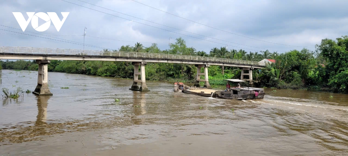 tien giang cau ban long nho hep, nha vuon ban trai cay kho khan hinh anh 4