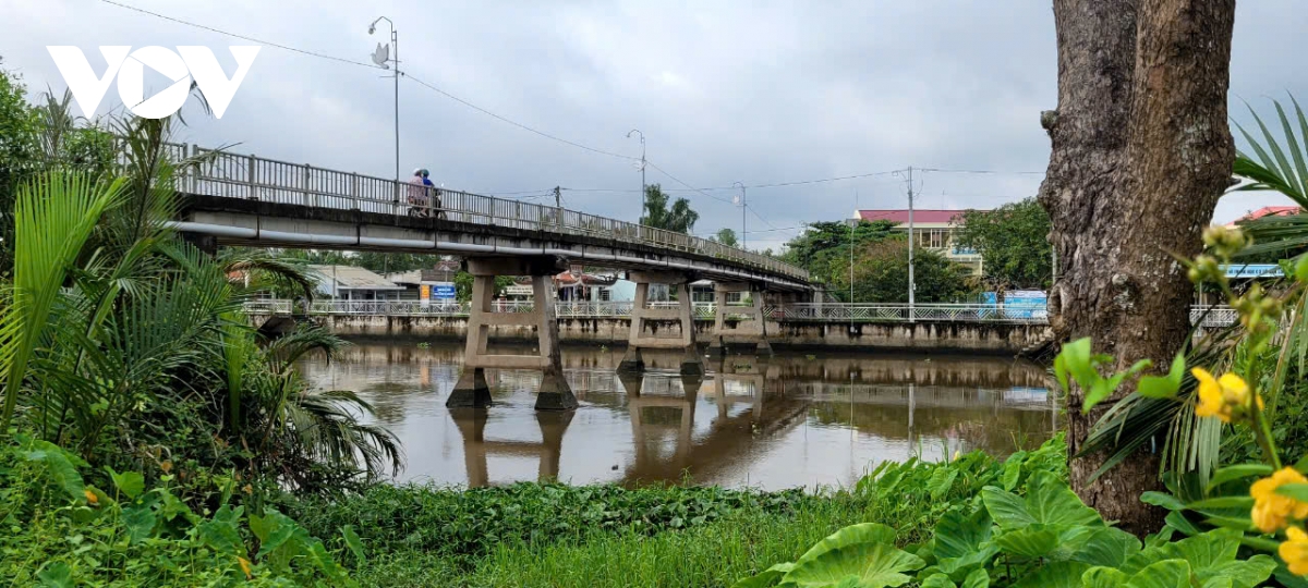 tien giang cau ban long nho hep, nha vuon ban trai cay kho khan hinh anh 1