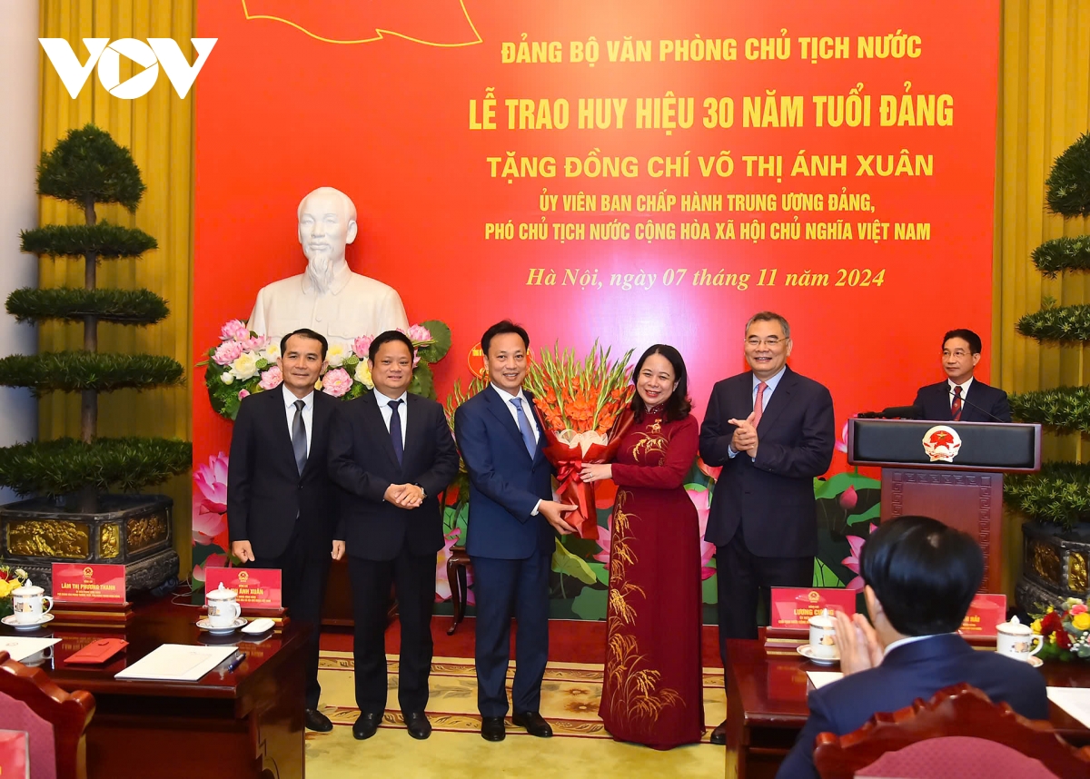 pho chu tich nuoc vo thi Anh xuan nhan huy hieu 30 nam tuoi dang hinh anh 2