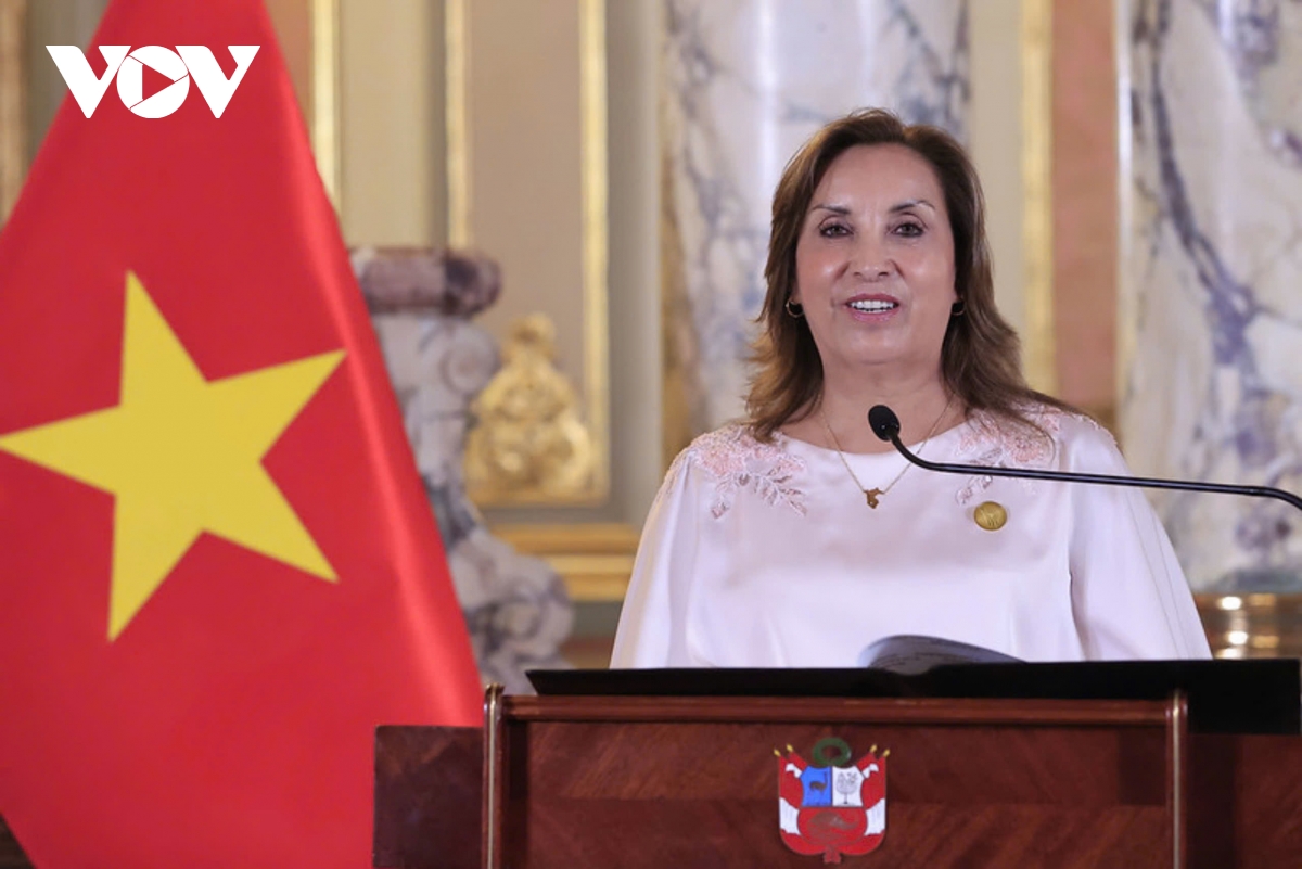 việt nam và peru đã hội đủ các điều kiện để nâng cấp quan hệ lên mức độ cao hơn hình ảnh 3 viet nam va peru da hoi du cac dieu kien de nang cap quan he len muc do cao hon hinh anh 3