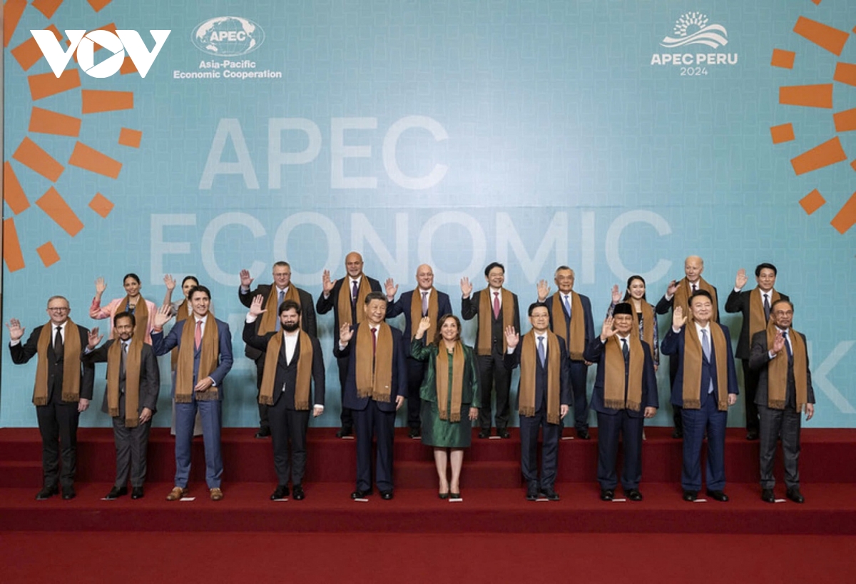 viet nam tiep tuc dong gop va trien khai hieu qua cac dinh huong hop tac apec hinh anh 3
