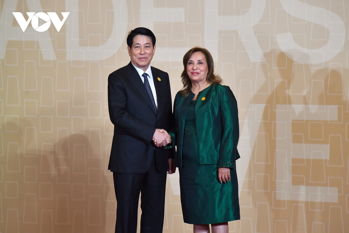viet nam tiep tuc dong gop va trien khai hieu qua cac dinh huong hop tac apec hinh anh 1
