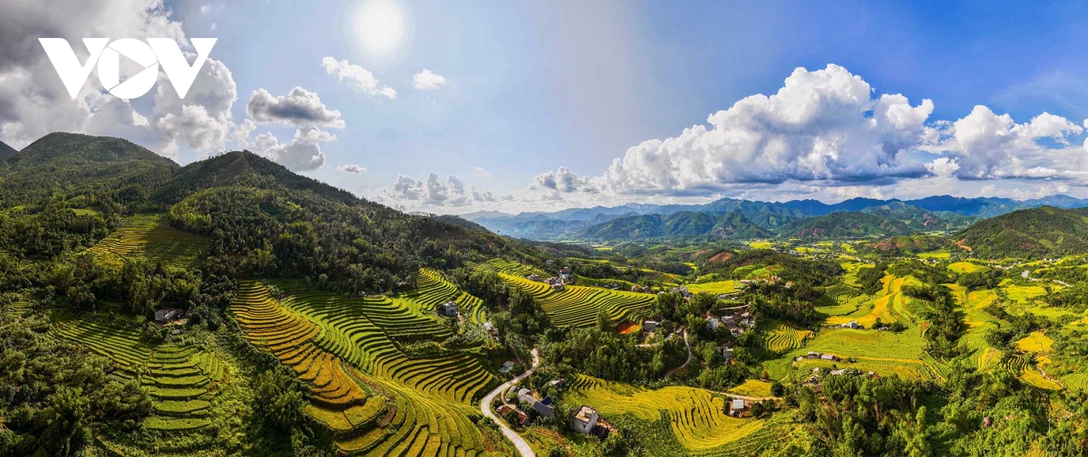 tu duy mo loi hinh anh 1