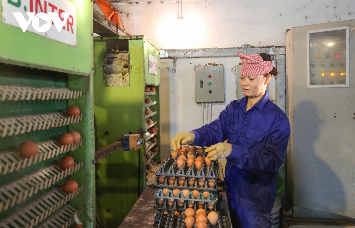 quảng ninh chuẩn bị sản phẩm ocop phục vụ tết nguyên đán hình ảnh 1 quang ninh chuan bi san pham ocop phuc vu tet nguyen dan hinh anh 1