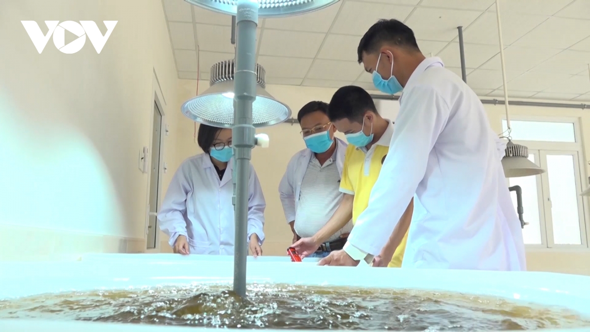 quảng nam đầu tư phát triển nông nghiệp xanh hình ảnh 2 quang nam dau tu phat trien nong nghiep xanh hinh anh 2