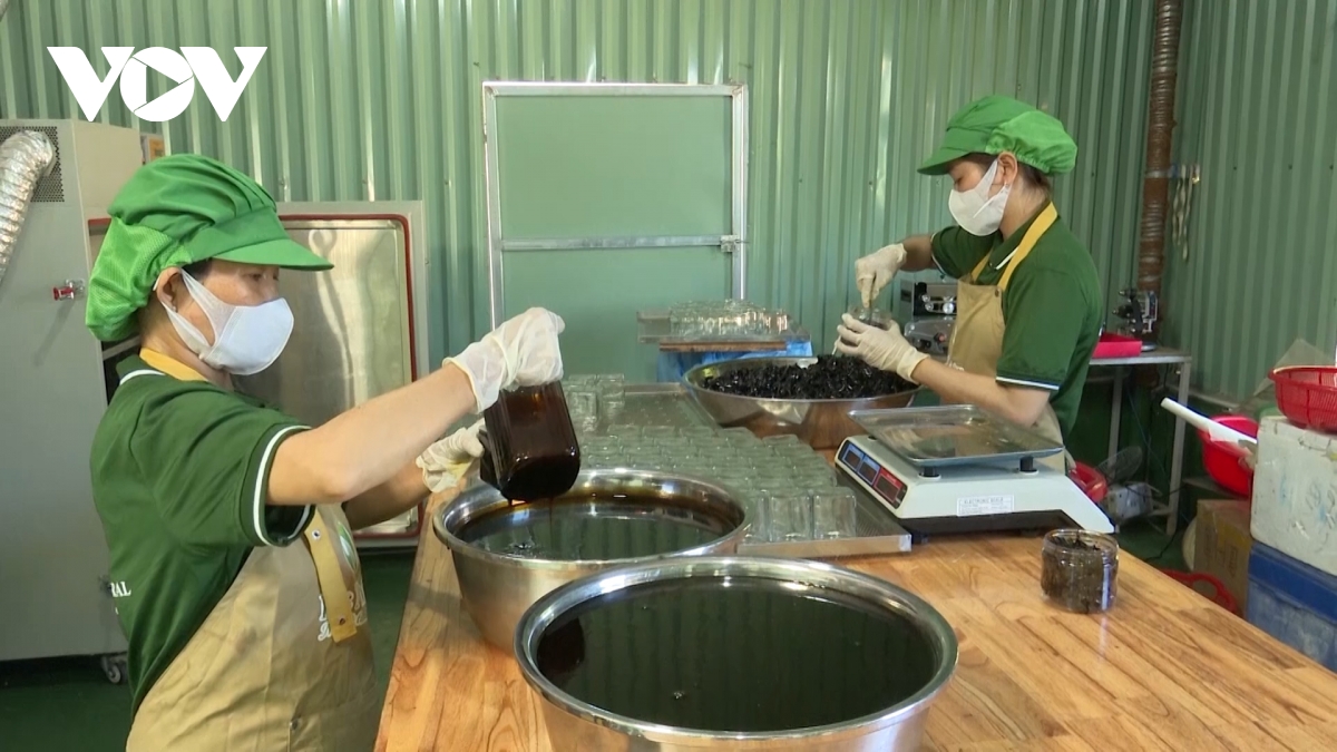 quảng nam đầu tư phát triển nông nghiệp xanh hình ảnh 3 quang nam dau tu phat trien nong nghiep xanh hinh anh 3
