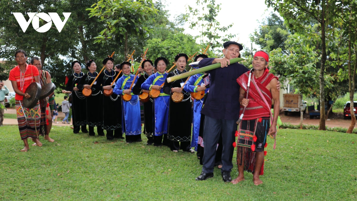 bu Dang binh phuoc tai hien hinh anh gia gao nuoi quan tren soc bom bo hinh anh 4