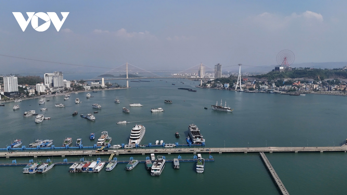 sôi động du lịch tàu biển tại quảng ninh hình ảnh 2 soi dong du lich tau bien tai quang ninh hinh anh 2