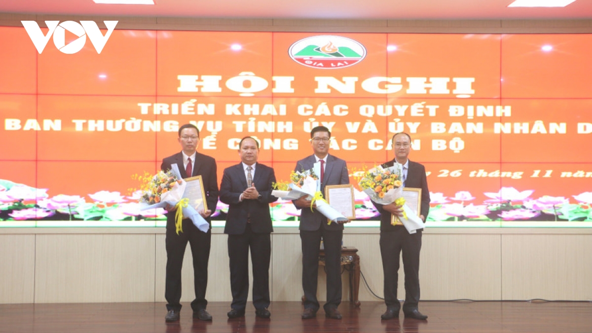 gia lai tiếp tục kiện toàn lãnh đạo sở, ngành hình ảnh 1 gia lai tiep tuc kien toan lanh dao so, nganh hinh anh 1