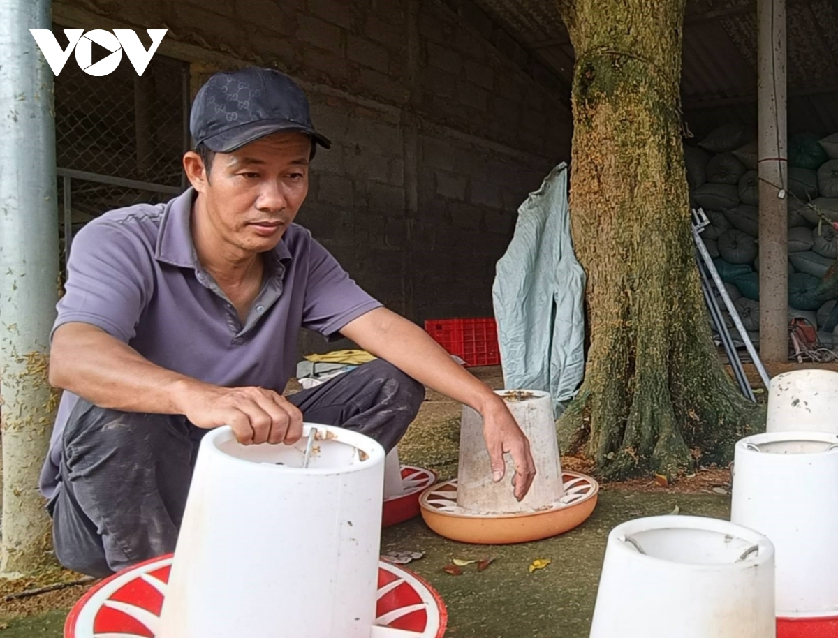 quang binh nguoi chan nuoi thiet hai nang sau lu can duoc ho tro hinh anh 3