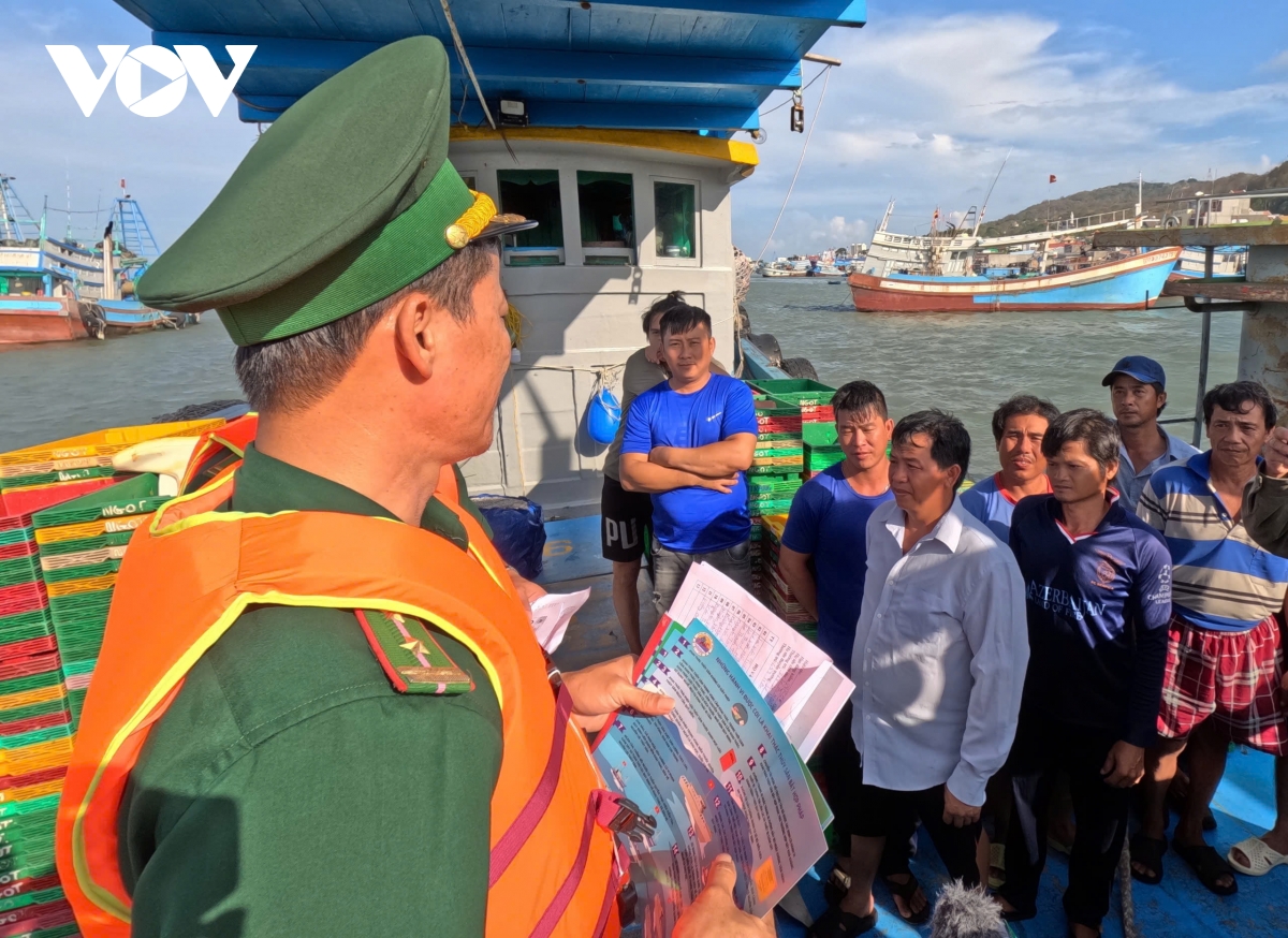 bien phong ba ria vung tau vao giai doan nuoc rut chong khai thac iuu hinh anh 2