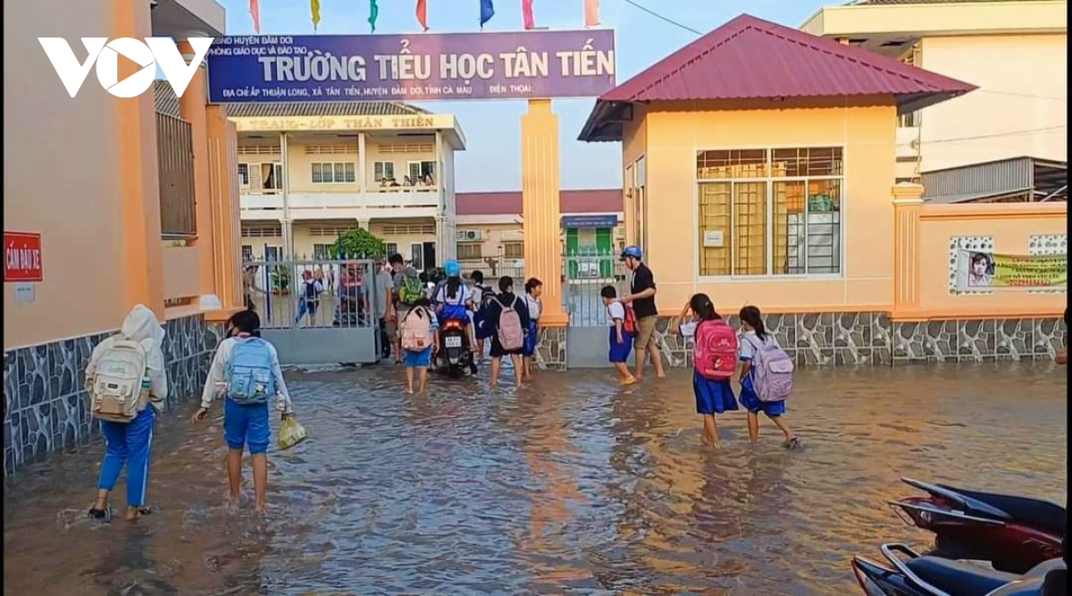 Triều cường gây ngập nhiều trường học ở Cà Mau