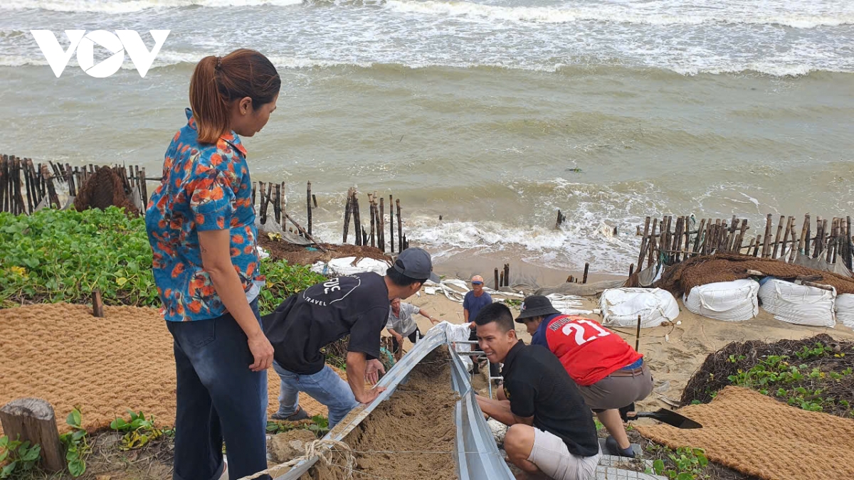 bãi biển hội an tiếp tục sạt lở nghiêm trọng hình ảnh 6 bai bien hoi an tiep tuc sat lo nghiem trong hinh anh 6