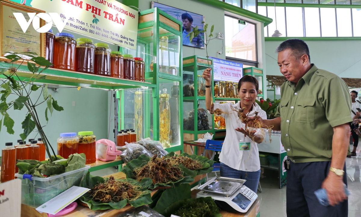 hiện thực hóa sâm ngọc linh thành thương hiệu sâm việt nam hình ảnh 1 hien thuc hoa sam ngoc linh thanh thuong hieu sam viet nam hinh anh 1