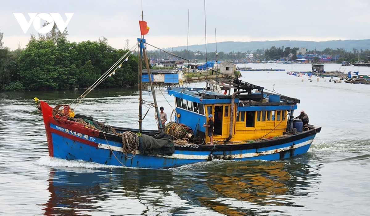 khắc phục thẻ vàng iuu các địa phương tập trung hoàn thành đăng ký cho tàu cá 3 không hình ảnh 2 khac phuc the vang iuu cac dia phuong tap trung hoan thanh dang ky cho tau ca 3 khong hinh anh 2