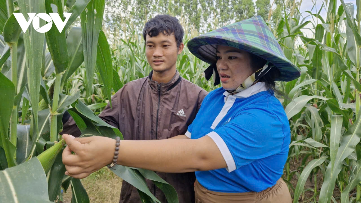 cán bộ hội phụ nữ tận tâm với công tác giảm nghèo hình ảnh 2 can bo hoi phu nu tan tam voi cong tac giam ngheo hinh anh 2
