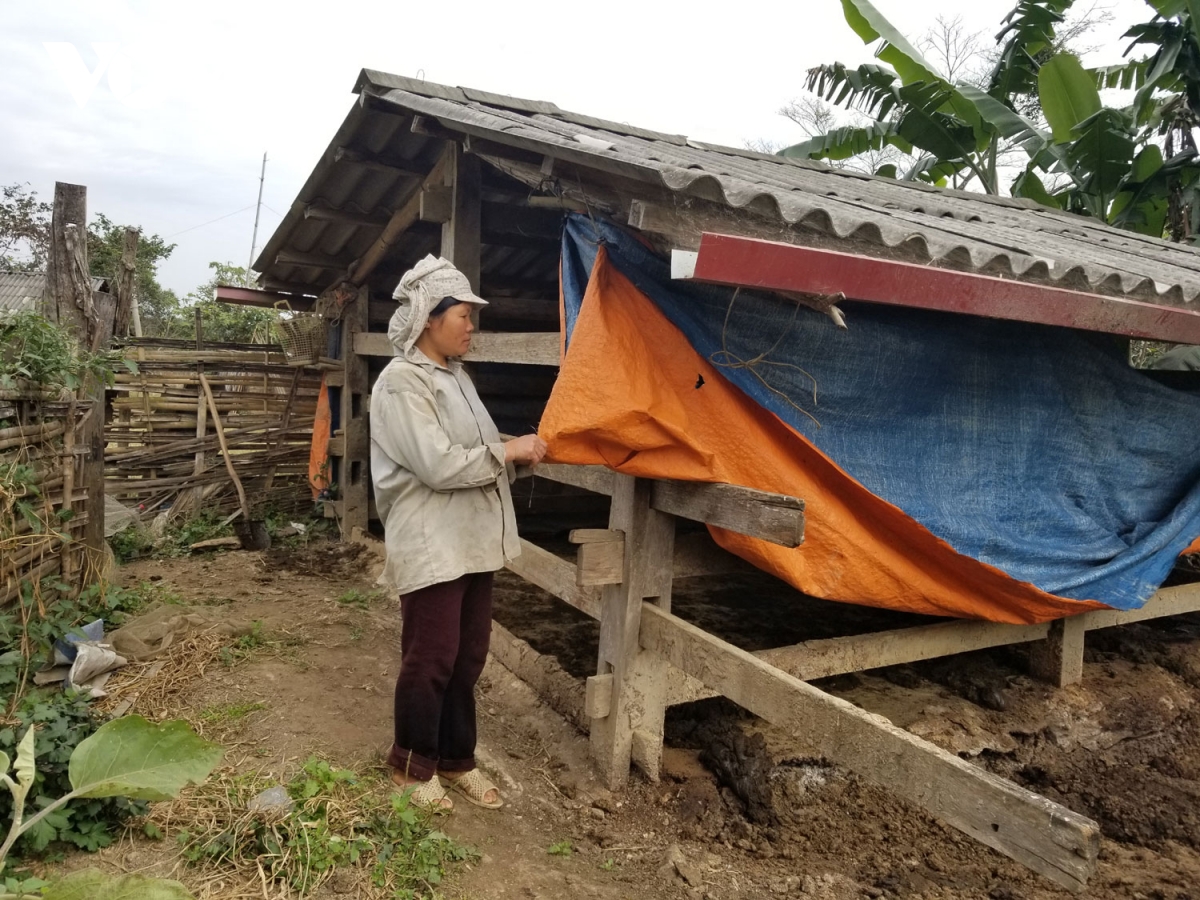 cao bang khan truong cac bien phap phong, chong ret cho cay trong, vat nuoi hinh anh 2