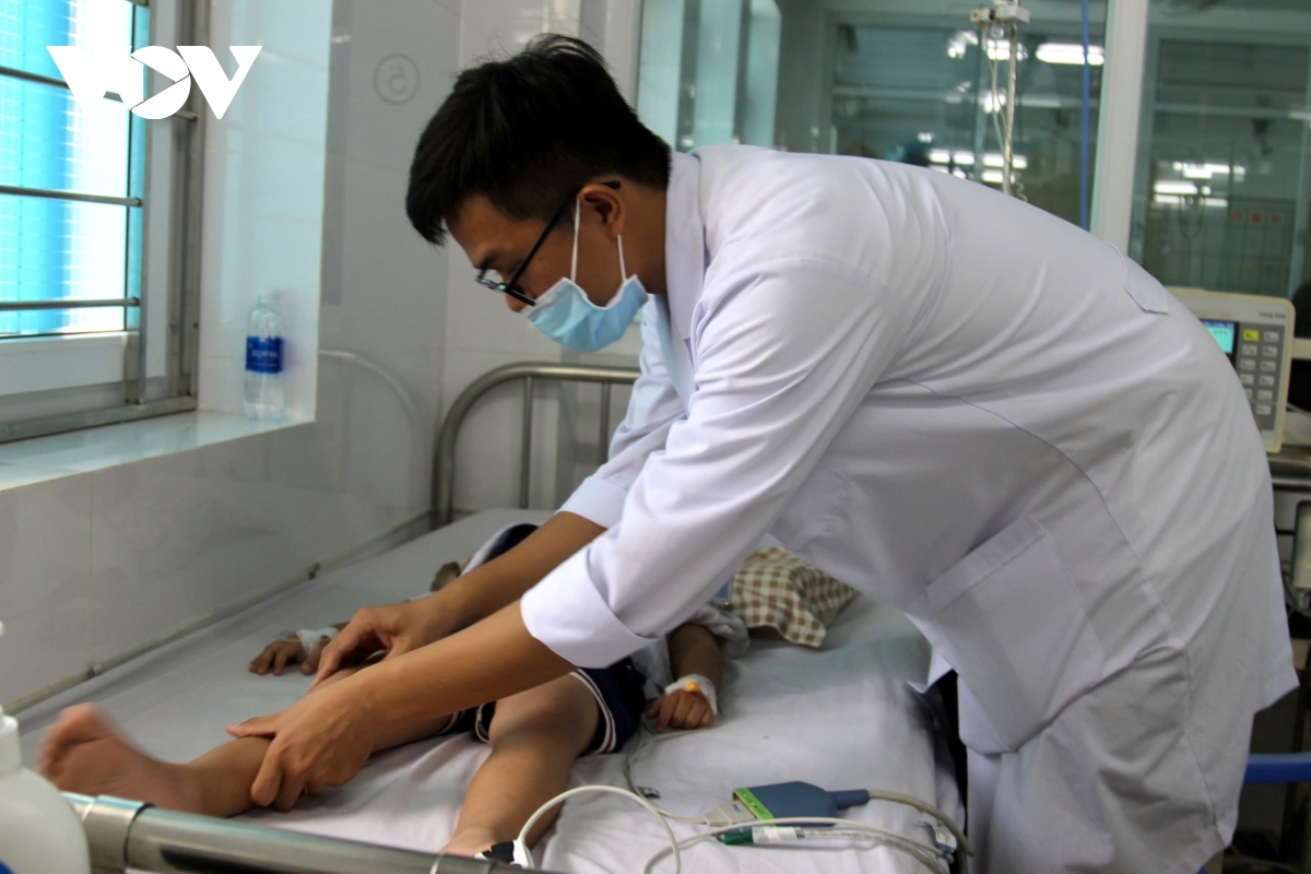 bình Định 4 ca tử vong liên quan cúm a h1pdm hình ảnh 1 binh Dinh 4 ca tu vong lien quan cum a h1pdm hinh anh 1