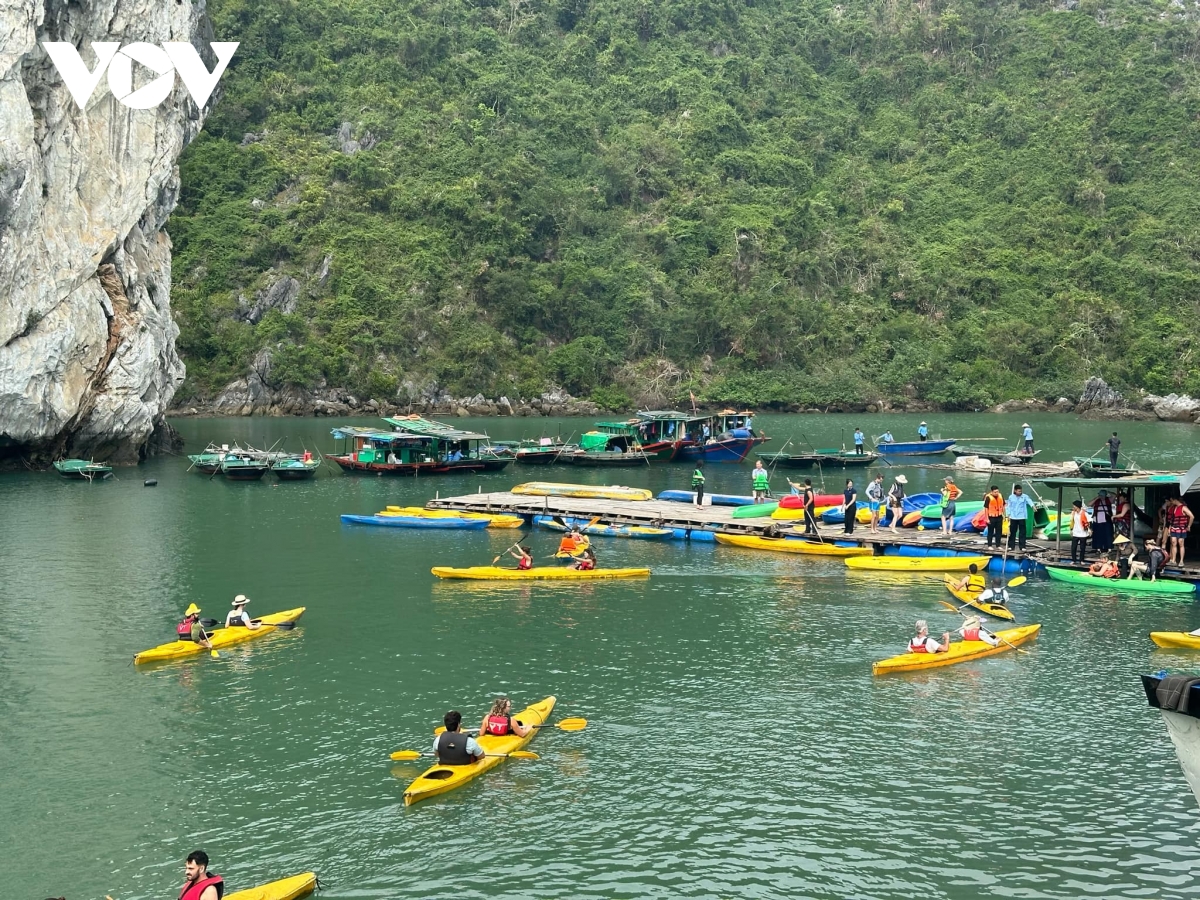 vi sao cat ba dung hoat dong cheo thuyen kayak tren vinh hinh anh 1