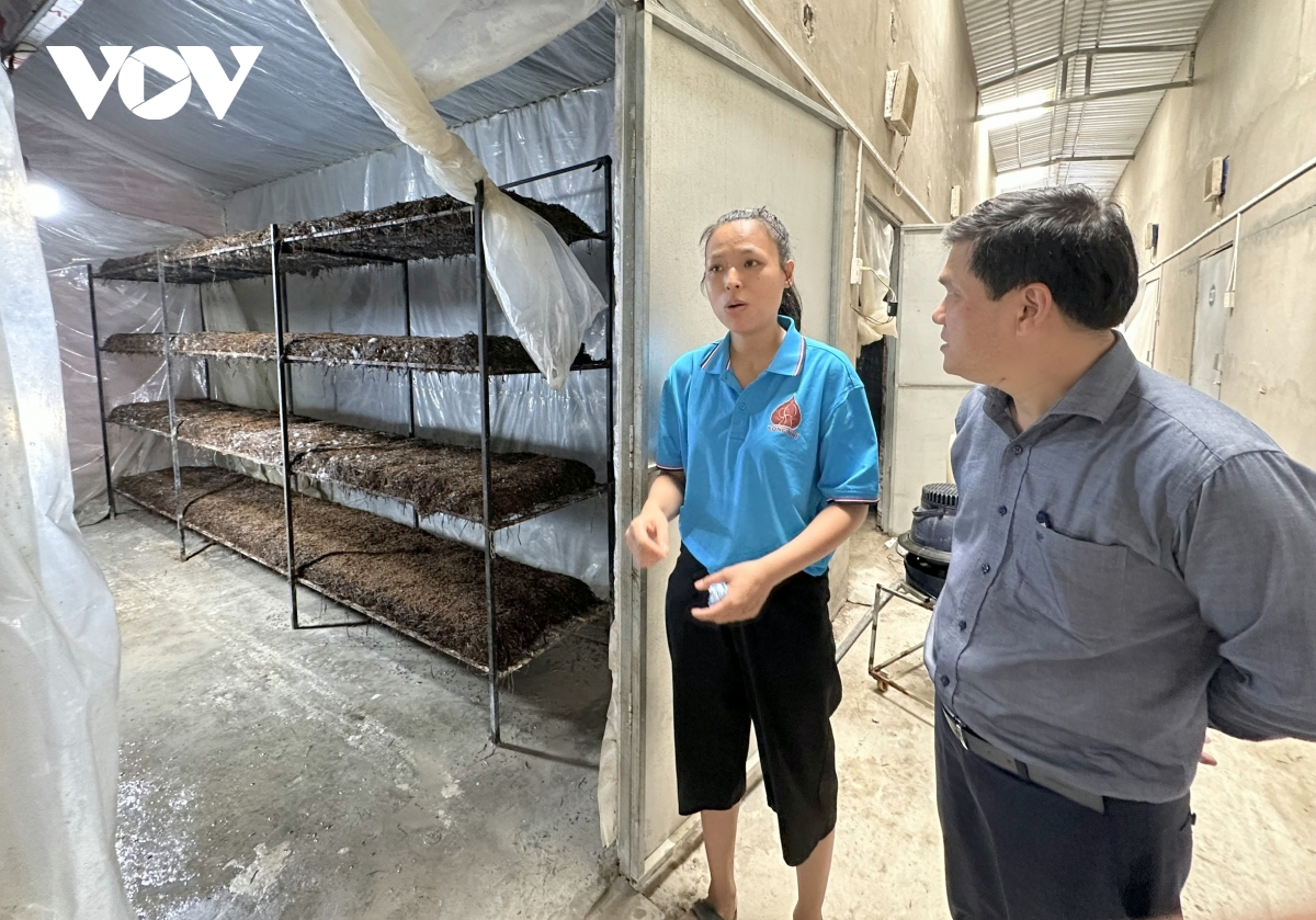cô gái 9x bỏ tiền tỷ khởi nghiệp bằng nấm rơm và kết quả ngoài mong đợi hình ảnh 2 co gai 9x bo tien ty khoi nghiep bang nam rom va ket qua ngoai mong doi hinh anh 2