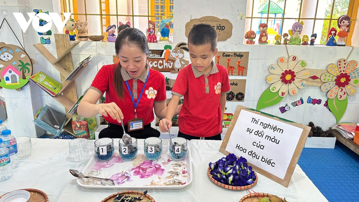 cô giáo cắm bản được vinh danh giáo viên tiêu biểu toàn quốc hình ảnh 1 co giao cam ban duoc vinh danh giao vien tieu bieu toan quoc hinh anh 1