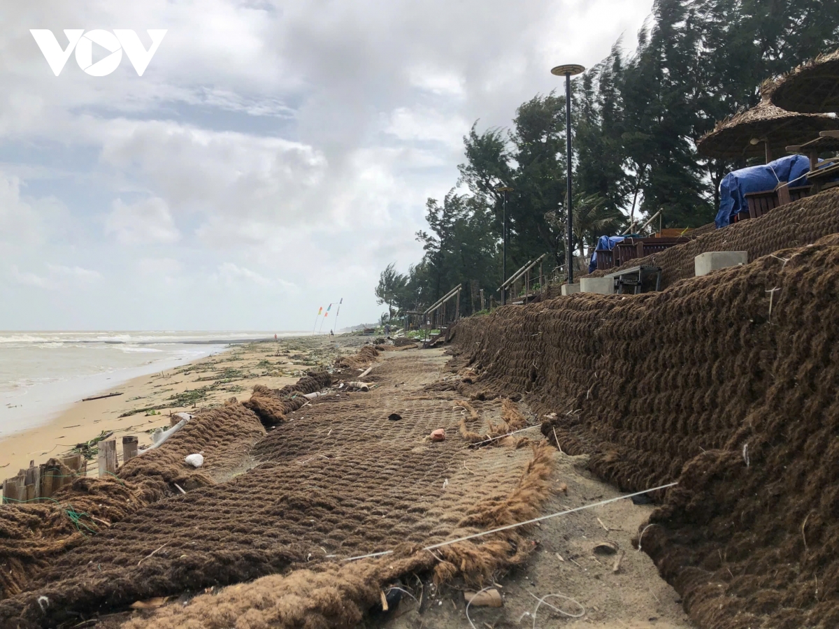 bãi biển hội an tiếp tục sạt lở nghiêm trọng hình ảnh 10 bai bien hoi an tiep tuc sat lo nghiem trong hinh anh 10