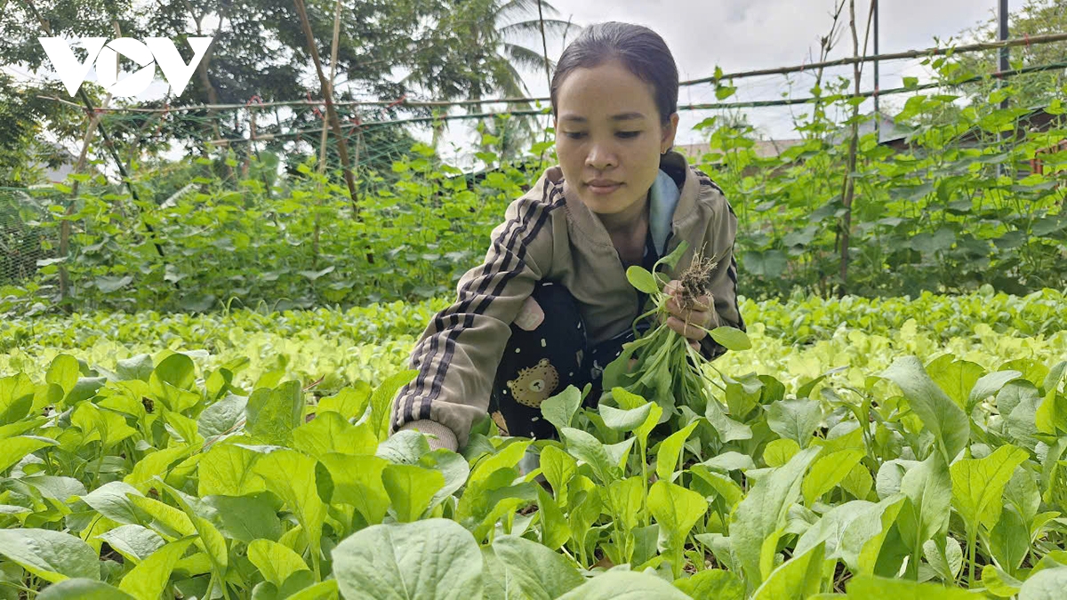 Đào tạo nghề nông thôn giúp người dân tộc thiểu số thêm hướng thoát nghèo hình ảnh 1 Dao tao nghe nong thon giup nguoi dan toc thieu so them huong thoat ngheo hinh anh 1