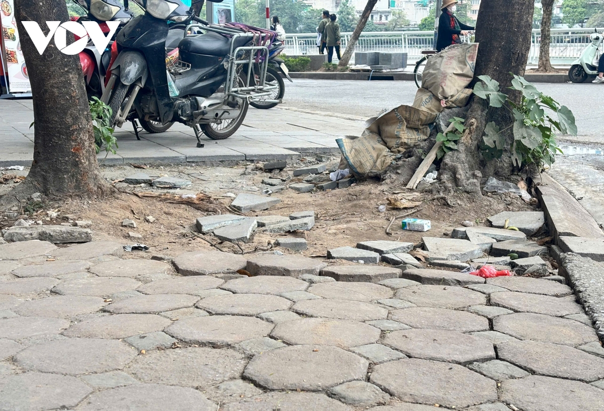 hang loat via he o ha noi bi dao xoi, lam lai, dan ngan ngam vi bui bam hinh anh 10