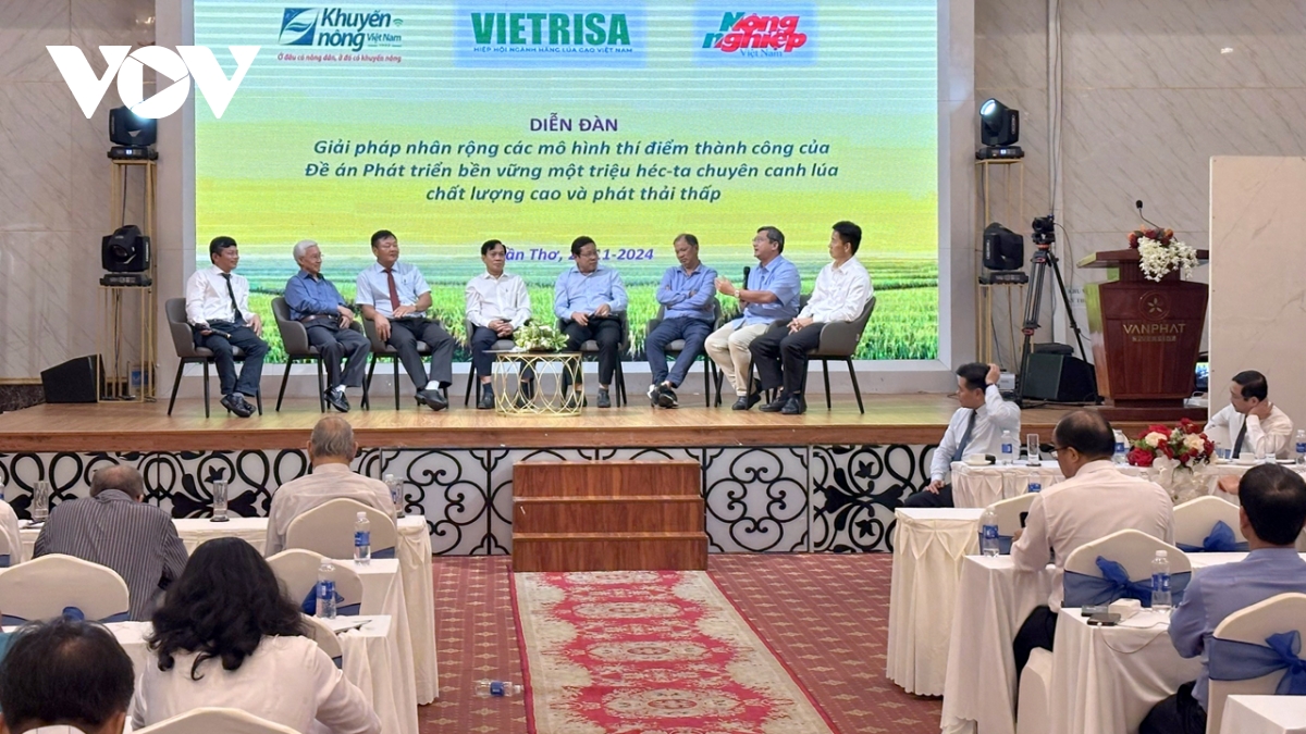 Đề án 1 triệu ha lúa ở Đbscl cần giải pháp nhân rộng các mô hình thành công hình ảnh 2 De an 1 trieu ha lua o Dbscl can giai phap nhan rong cac mo hinh thanh cong hinh anh 2