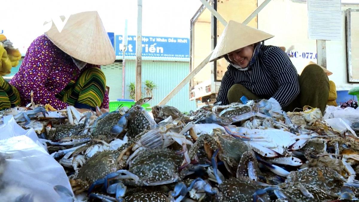 sóc trăng, trà vinh quyết tâm tháo gỡ cảnh báo thẻ vàng iuu hình ảnh 3 soc trang, tra vinh quyet tam thao go canh bao the vang iuu hinh anh 3