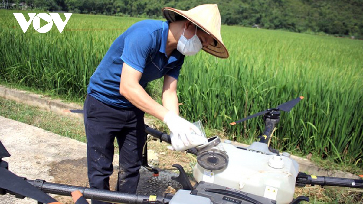 hiểu và sử dụng đúng thuốc bảo vệ thực vật thúc đẩy xuất khẩu nông sản hình ảnh 1 hieu va su dung dung thuoc bao ve thuc vat thuc day xuat khau nong san hinh anh 1