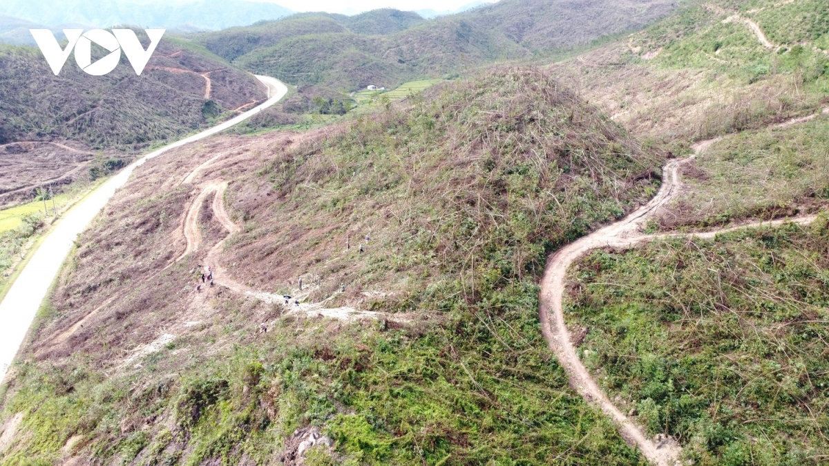 quang ninh day nhanh ho tro nganh lam - ngu nghiep sau bao so 3 hinh anh 2