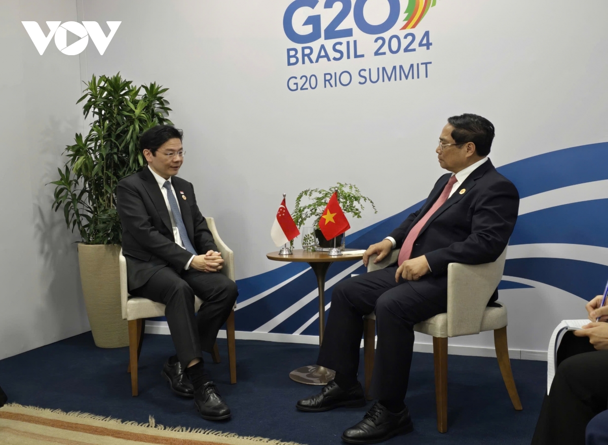 thu tuong tiep lanh dao cac nuoc va to chuc quoc te nhan du g20 hinh anh 4