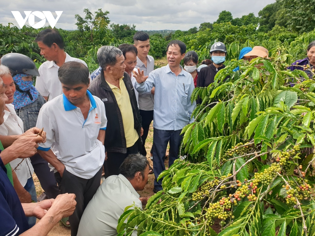 Trên dưới đồng lòng dẫn dòng cho nông nghiệp Tây Nguyên