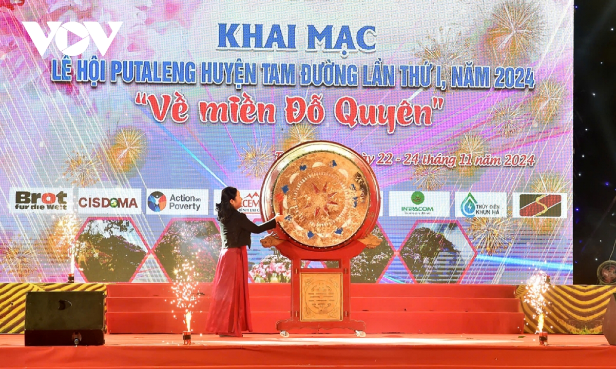 công nhận rừng đỗ quyên cổ thụ ở lai châu lớn nhất việt nam hình ảnh 3 cong nhan rung do quyen co thu o lai chau lon nhat viet nam hinh anh 3
