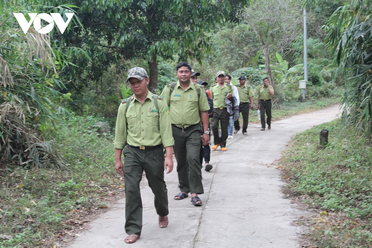 ninh thuận quy định mức kinh phí cho các hoạt động bảo vệ rừng hình ảnh 1 ninh thuan quy dinh muc kinh phi cho cac hoat dong bao ve rung hinh anh 1