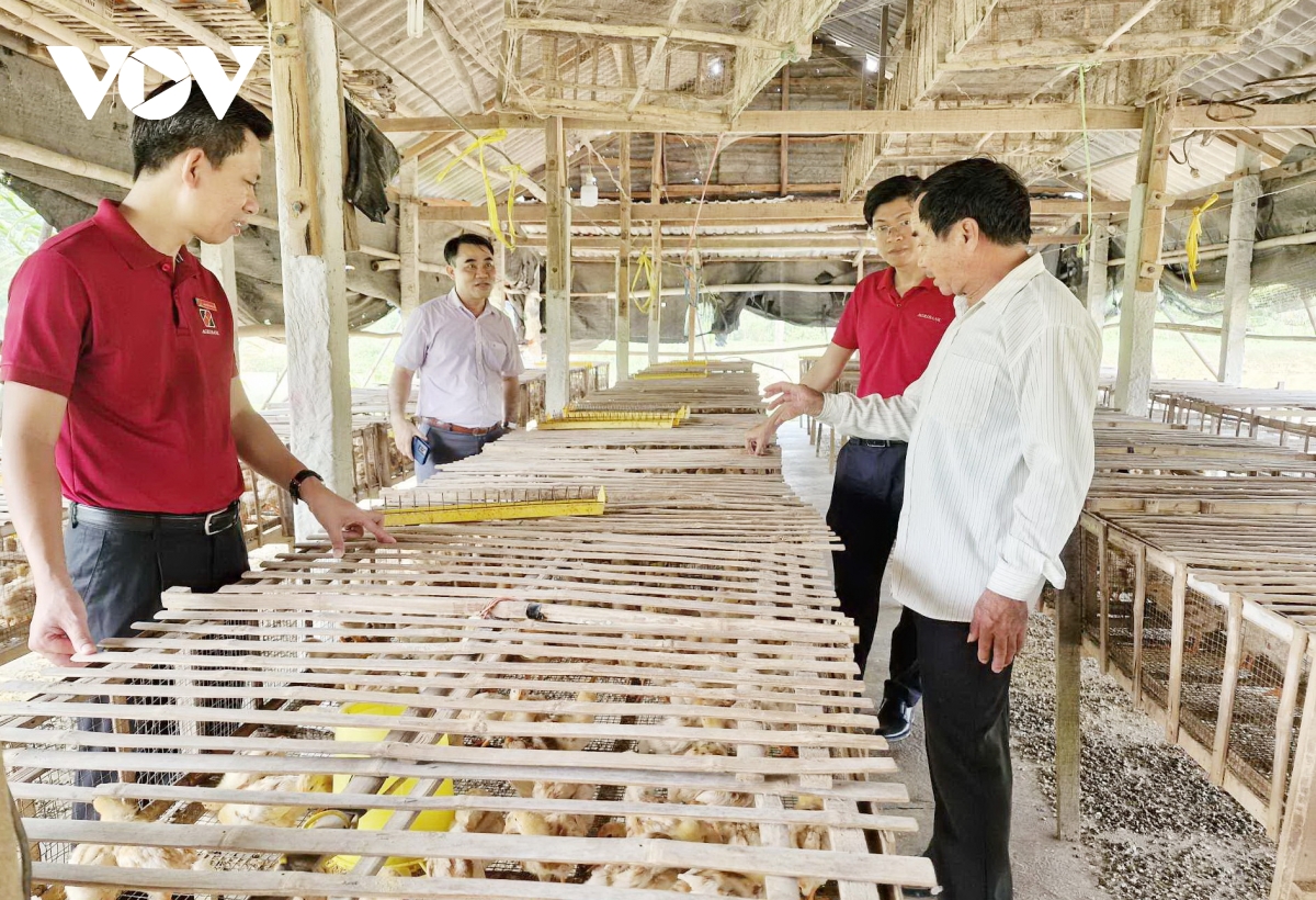 Quảng Nam tạo vốn cho nông dân làm kinh tế