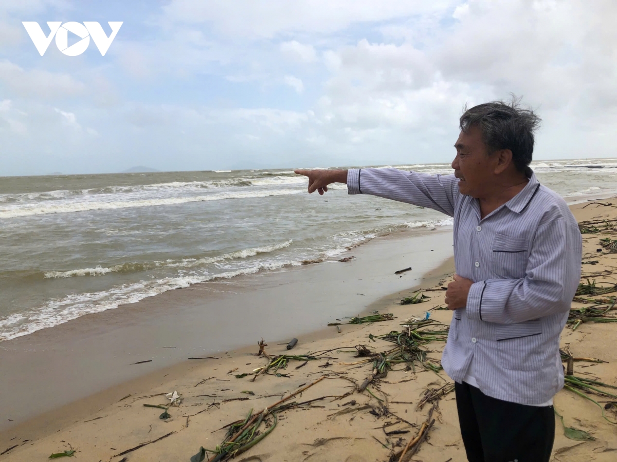 bãi biển hội an tiếp tục sạt lở nghiêm trọng hình ảnh 9 bai bien hoi an tiep tuc sat lo nghiem trong hinh anh 9