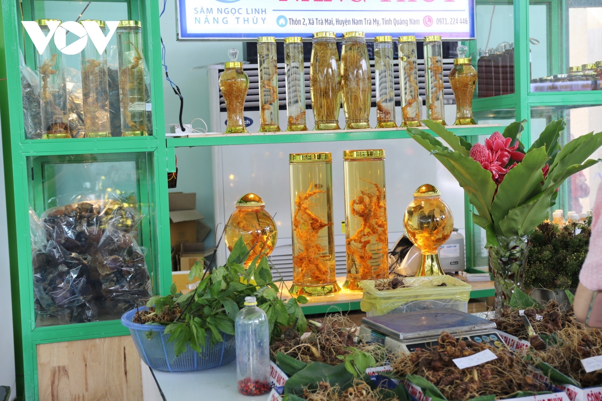 hiện thực hóa sâm ngọc linh thành thương hiệu sâm việt nam hình ảnh 6 hien thuc hoa sam ngoc linh thanh thuong hieu sam viet nam hinh anh 6