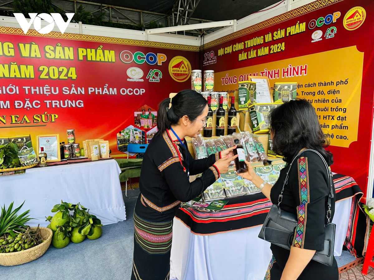 260 gian hàng tham gia hội chợ công thương và sản phẩm ocop Đắk lắk năm 2024 hình ảnh 2 260 gian hang tham gia hoi cho cong thuong va san pham ocop Dak lak nam 2024 hinh anh 2