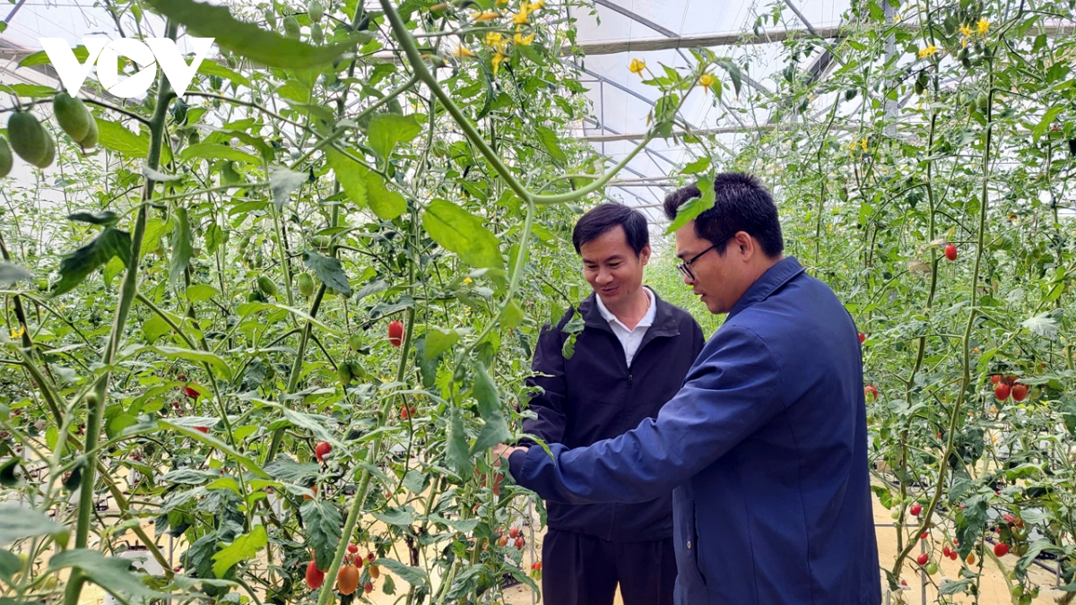 kon tum phát triển bền vững từ nông nghiệp công nghệ cao hình ảnh 2 kon tum phat trien ben vung tu nong nghiep cong nghe cao hinh anh 2