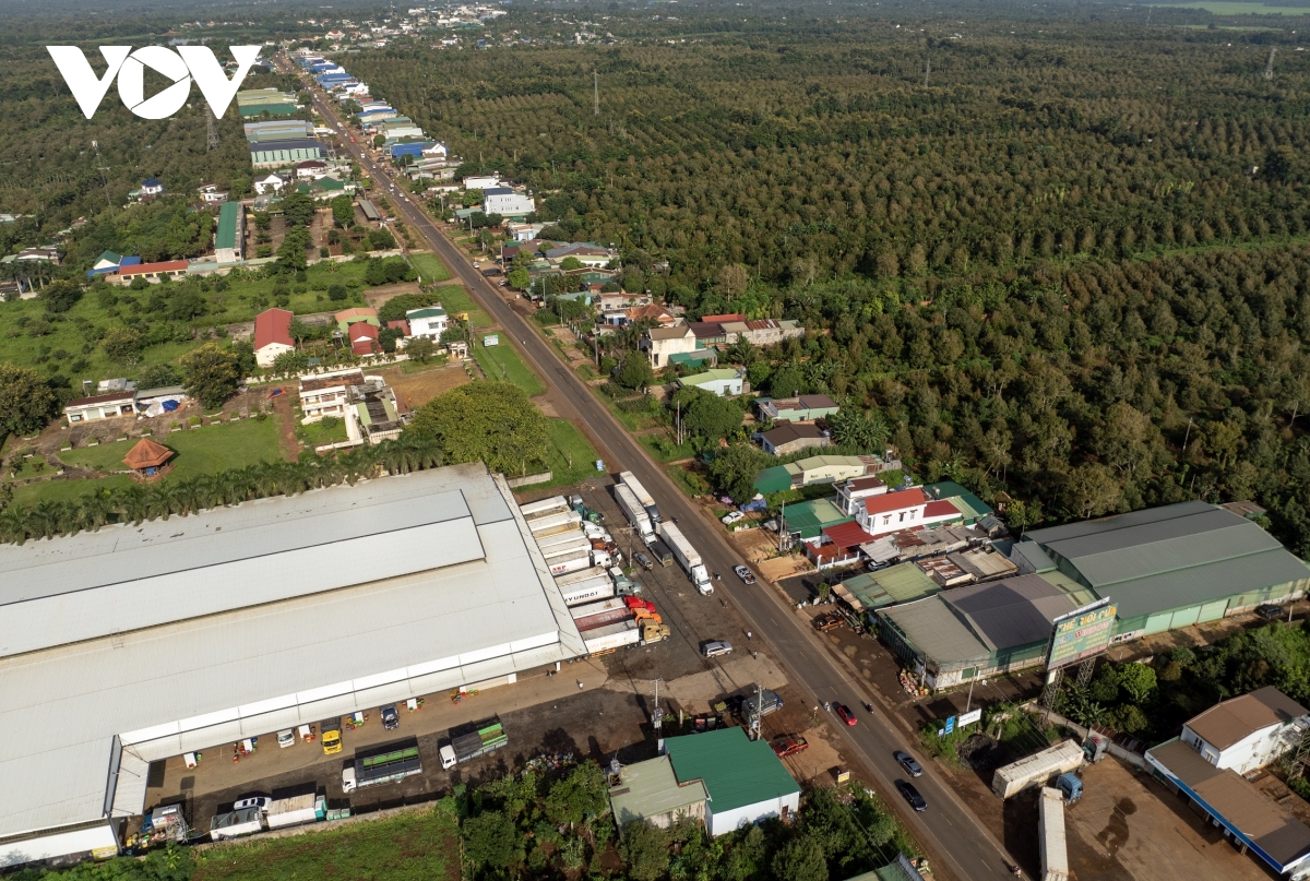 nông nghiệp tây nguyên tiên phong kiến tạo hình ảnh 1 nong nghiep tay nguyen tien phong kien tao hinh anh 1