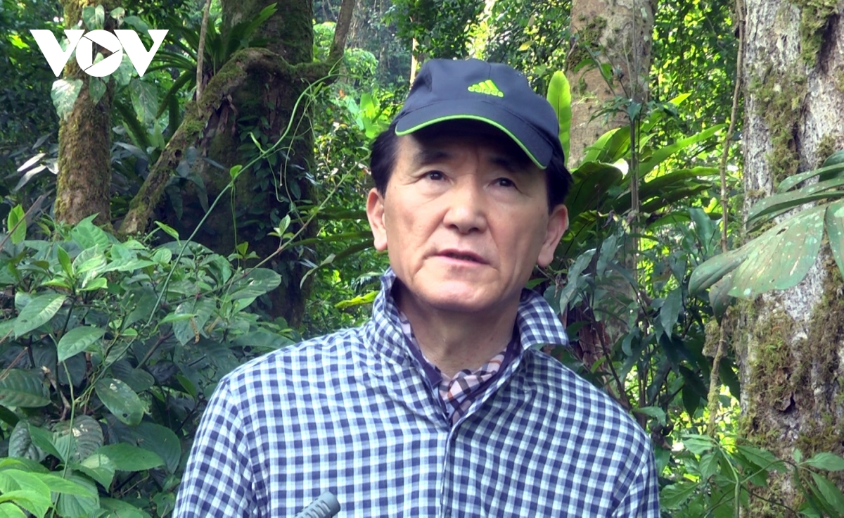Đưa sâm việt nam ra thế giới hình ảnh 7 Dua sam viet nam ra the gioi hinh anh 7