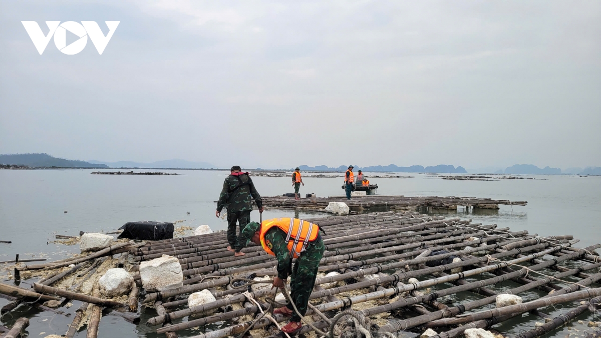 2 thang sau sieu bao yagi, quang yen van ngon ngang voi rac hinh anh 4